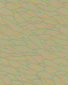 纺织纹理布料图案素材 提升生活与工作设计质感的必备资源